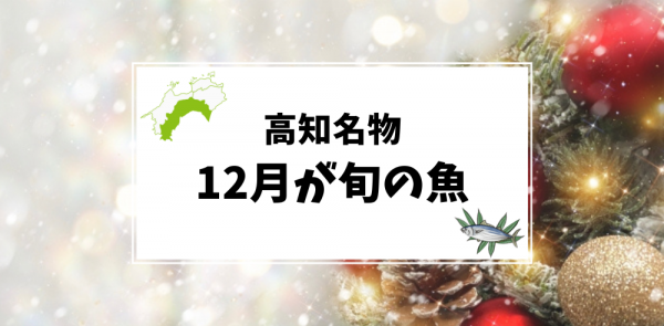 12月が旬の高知名物の魚