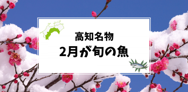 2月が旬の高知名物の魚