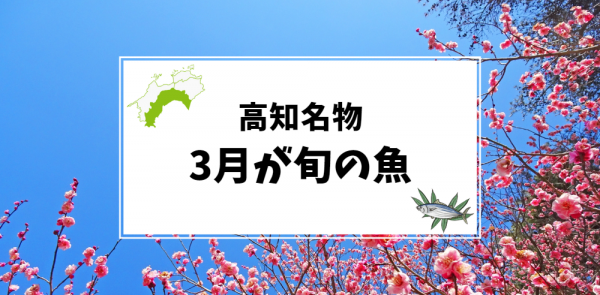 3月が旬の高知名物の魚