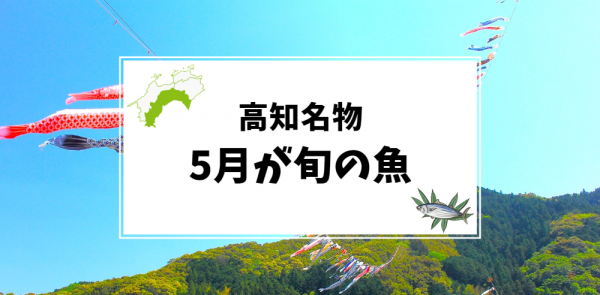 5月が旬の高知名物の魚