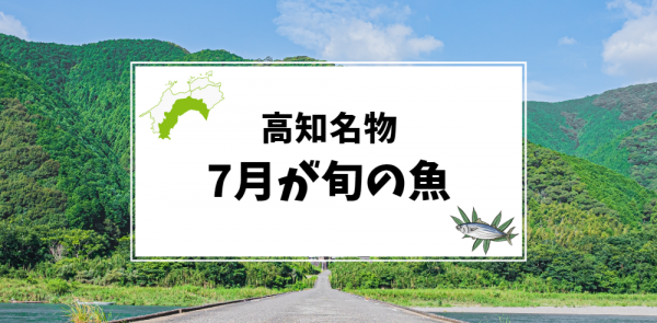 7月が旬の高知名物の魚