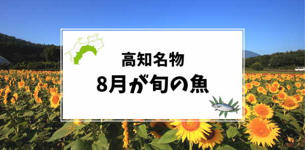 8月が旬の高知名物の魚