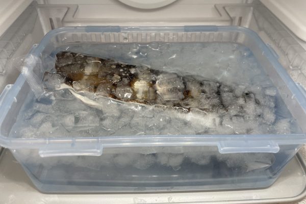 氷水につけて冷蔵庫解凍