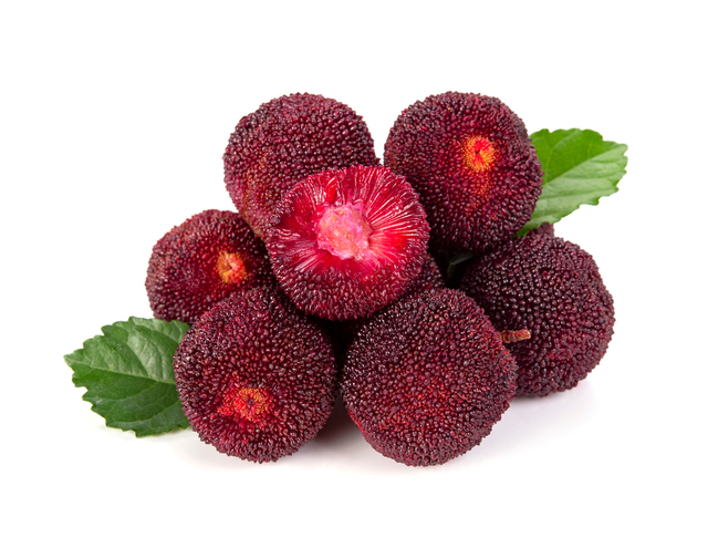 天然の鮎（アユ）