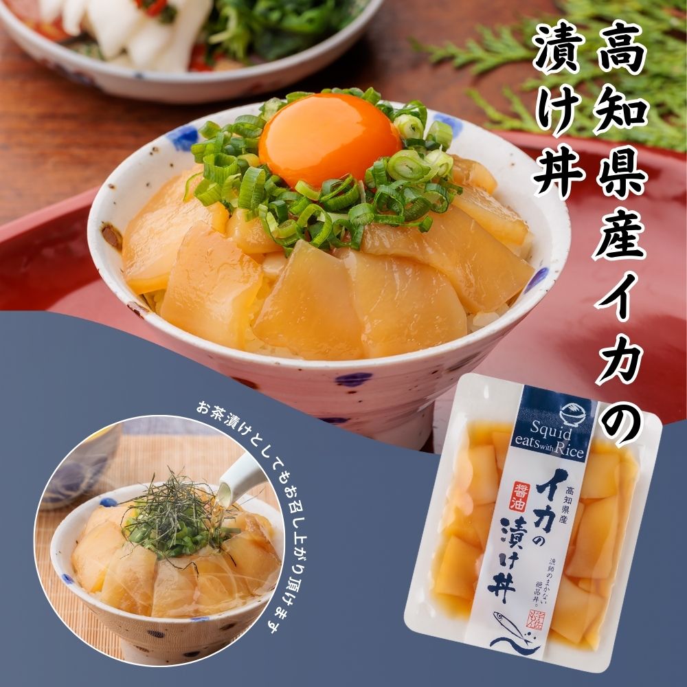 高知 イカの漬け丼