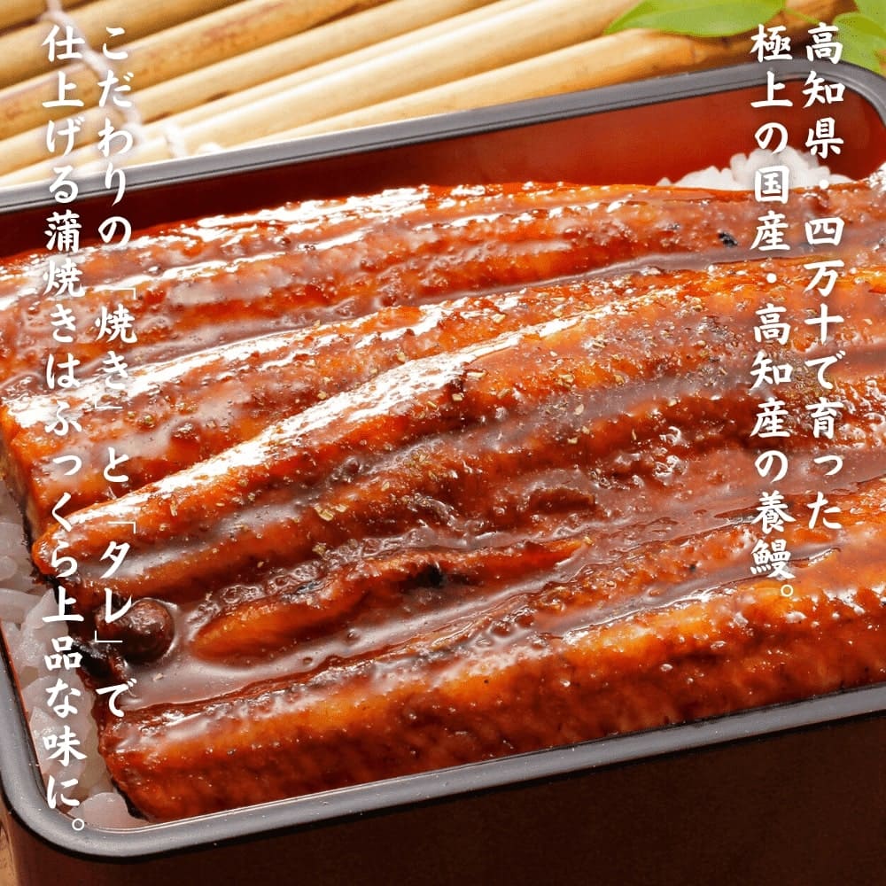 高知県四万十で育った、極上の国産高知産の養鰻　こだわりの焼きとタレで